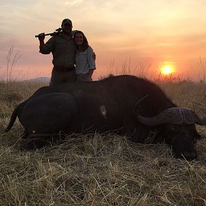 Cape Buffalo Tanzania Hunting