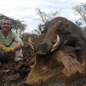 Tanzania Warthog Hunt