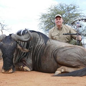 South Africa Blue Wildebeest Bow Hunting