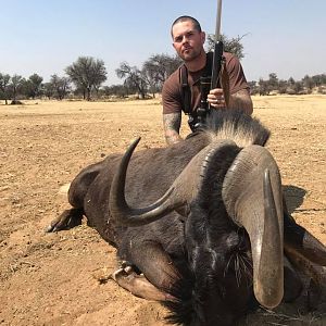 Hunt Namibia Black Wildebeest