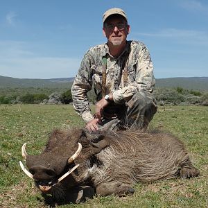 South Africa Warthog Hunt