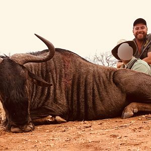 South Africa Blue Wildebeest Hunting