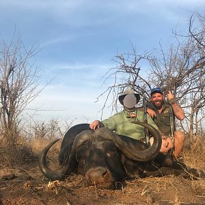 Cape Buffalo Hunt in South Africa