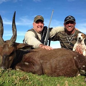 Bushbuck  Hunting South Africa