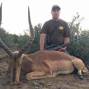 Impala South Africa Hunt