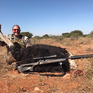 Ostrich South Africa Hunt