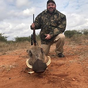 South Africa Warthog Hunt