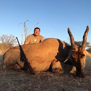 South Africa Hunting Eland