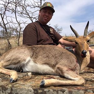 Hunting Mountain Reedbuck South Africa