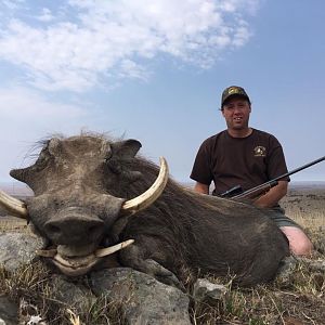 South Africa Warthog Hunt