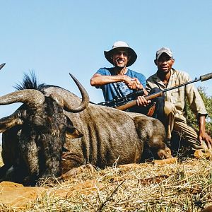 South Africa Blue Wildebeest Hunting