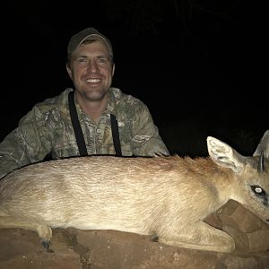 Hunting Sharp's Grysbok Limpopo