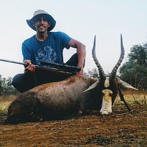 Hunting Blesbok South Africa