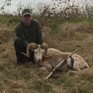 Hunting Texas Dall Sheep
