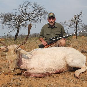 South Africa Hunt White Fallow Deer