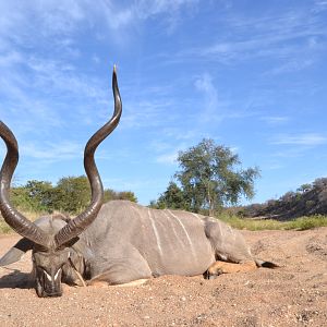 Big Kudu along the SandRiver