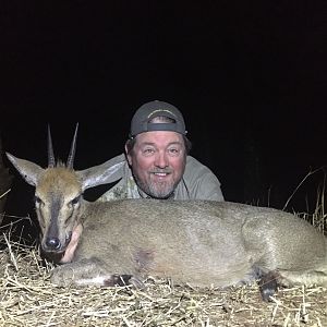 Duiker Hunting South Africa