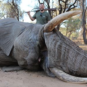 Elephant hunt 2017 still available