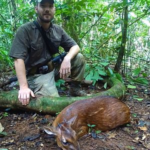 Hunting Congo Red Duiker