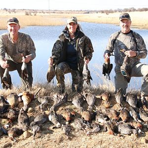 Wing Shooting South Africa Ducks
