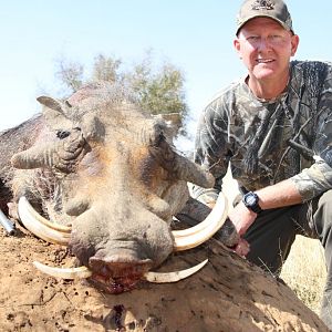 Hunting Warthog South Africa