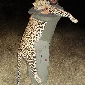 Leopard South Africa Hunt