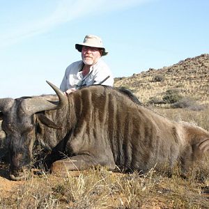 South Africa Blue Wildebeest Hunting