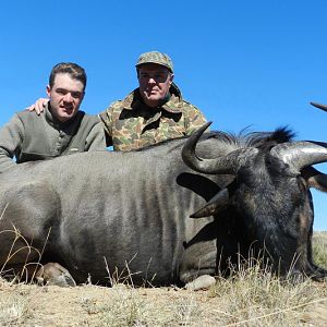 South Africa Blue Wildebeest Hunting