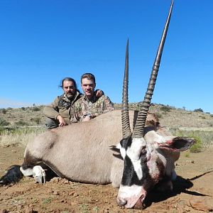 Hunt Gemsbok South Africa