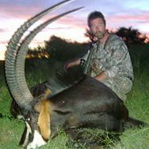 Sable Hunting in South Africa