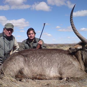 Waterbuck South Africa Hunt