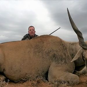 South Africa Hunting Eland