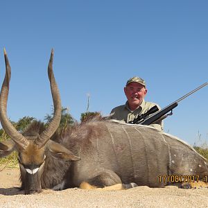 Nyala Hunt South Africa