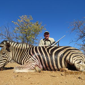 South Africa Burchell's Plain Zebra Hunting