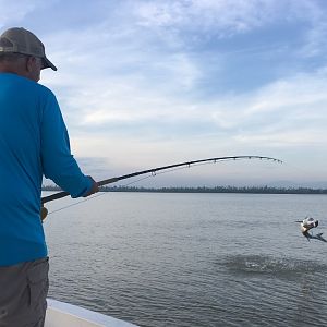 Fishing Tarpon