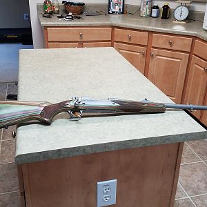 Ruger Guide Gun in 416 Ruger Rifle