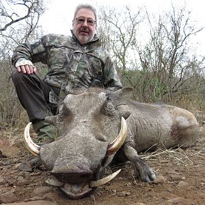 Warthog Hunt South Africa