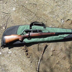 Winchester M70 in 375 H&H Rifle