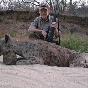 Spotted Hyena Zimbabwe Hunt