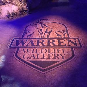 Warren Wildlife Gallery