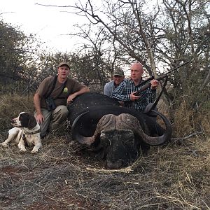 South Africa Hunt Cape Buffalo