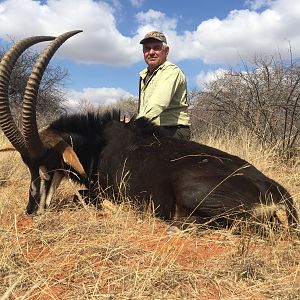 Sable South Africa Hunting