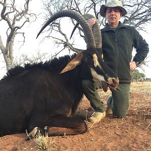 Hunt Sable Antelope South Africa