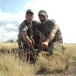 Blackbuck Argentina Hunting