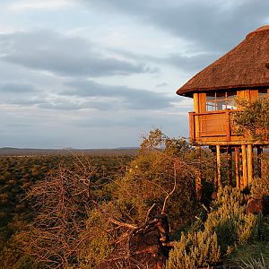 Lodge Hunting  South Africa