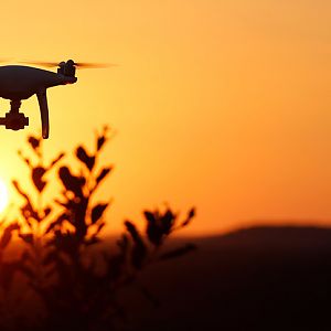 Drone flight Sunset