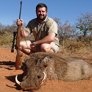 South Africa Warthog Hunt