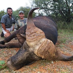 South Africa Cape Buffalo Hunt