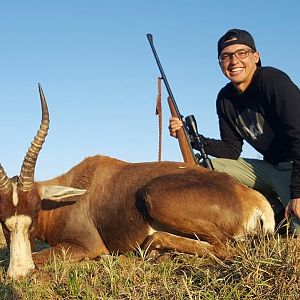 Hunting Blesbok South Africa