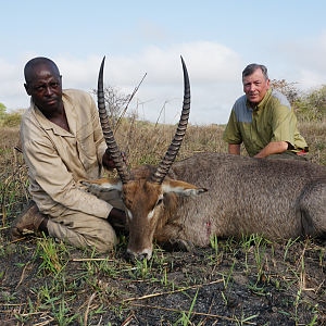 Average Mozambique Waterbuck